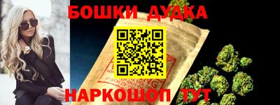 МДПВ Будённовск