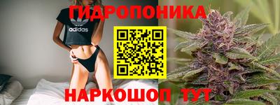 PSILOCYBIN Бузулук