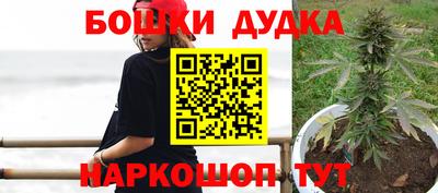 МДПВ Будённовск