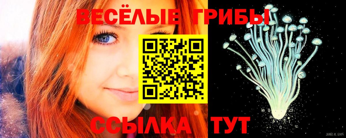 хочу наркоту  Галлюциногенные грибы мицелий  Вход с VPN  Чехов 